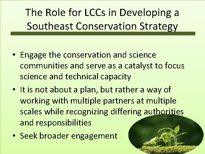 The Role for LCCs in Developing a Southeast Conservation Strategy • Engage the conservation