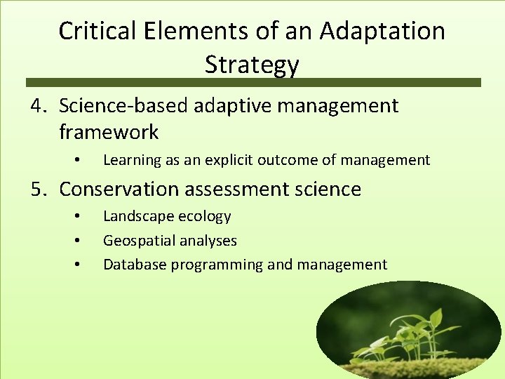 Critical Elements of an Adaptation Strategy 4. Science-based adaptive management framework • Learning as