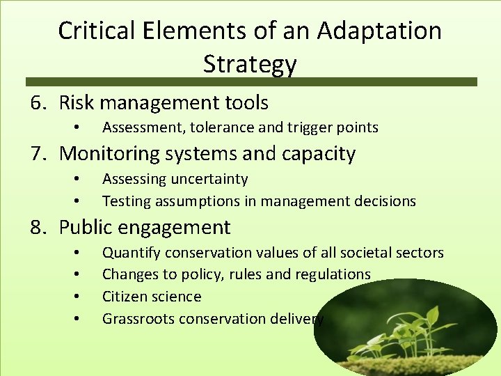 Critical Elements of an Adaptation Strategy 6. Risk management tools • Assessment, tolerance and