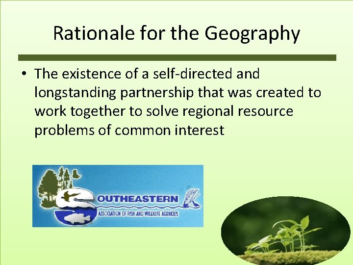 Rationale for the Geography • The existence of a self-directed and longstanding partnership that