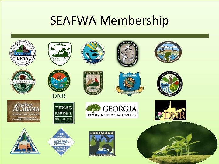 SEAFWA Membership 