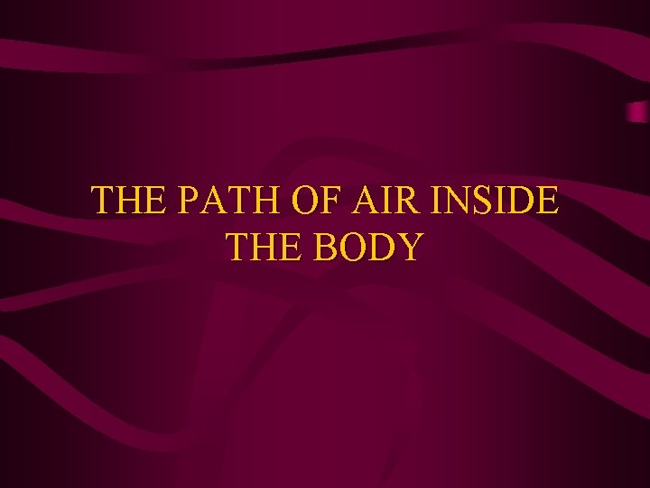 THE PATH OF AIR INSIDE THE BODY 