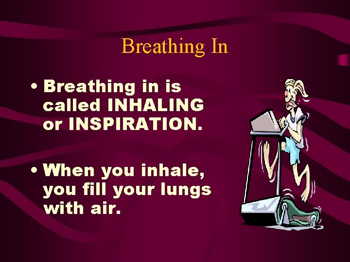 Breathing In • Breathing in is called INHALING or INSPIRATION. • When you inhale,