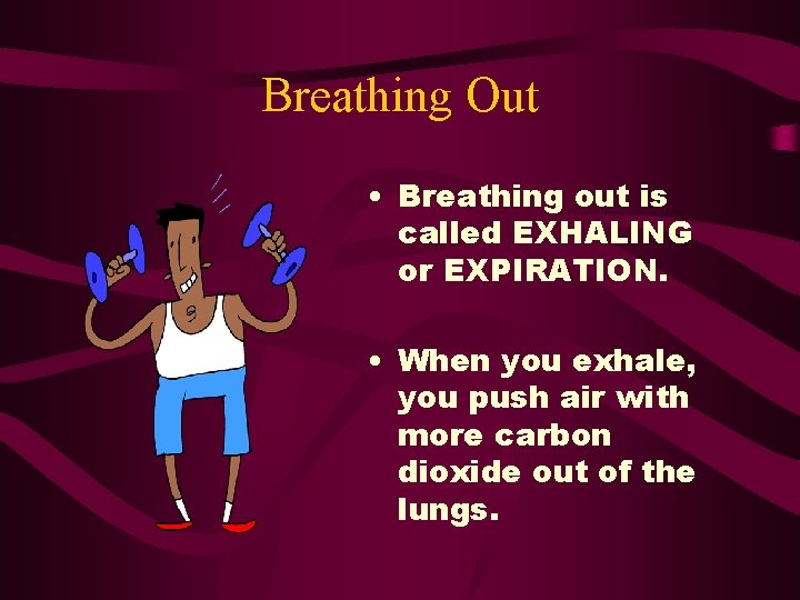 Breathing Out • Breathing out is called EXHALING or EXPIRATION. • When you exhale,