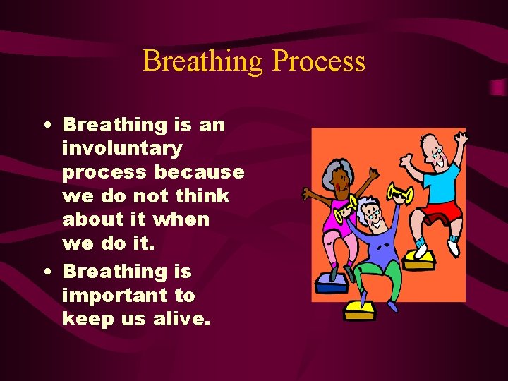 Breathing Process • Breathing is an involuntary process because we do not think about