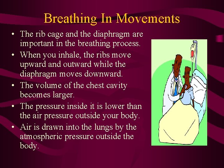 Breathing In Movements • The rib cage and the diaphragm are important in the