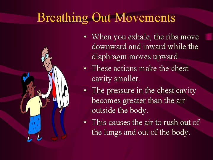 Breathing Out Movements • When you exhale, the ribs move downward and inward while