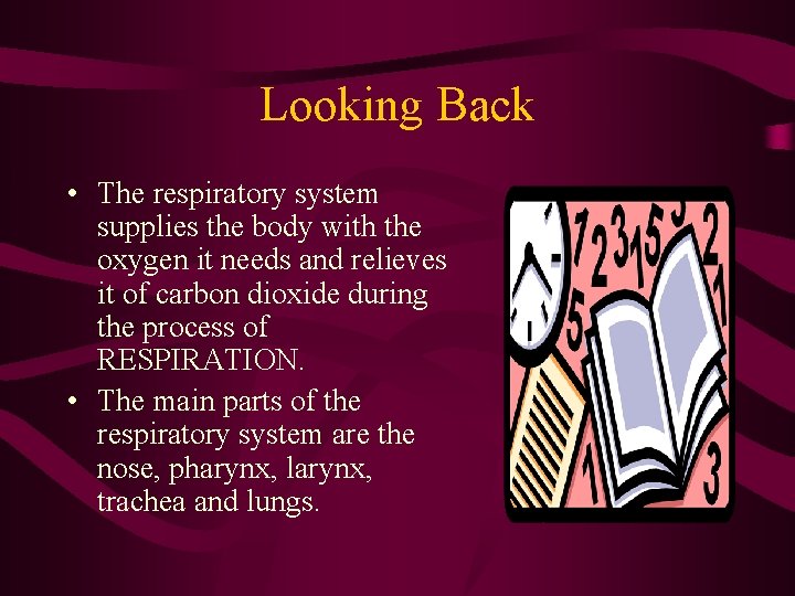 Looking Back • The respiratory system supplies the body with the oxygen it needs