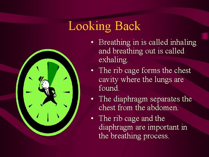 Looking Back • Breathing in is called inhaling and breathing out is called exhaling.