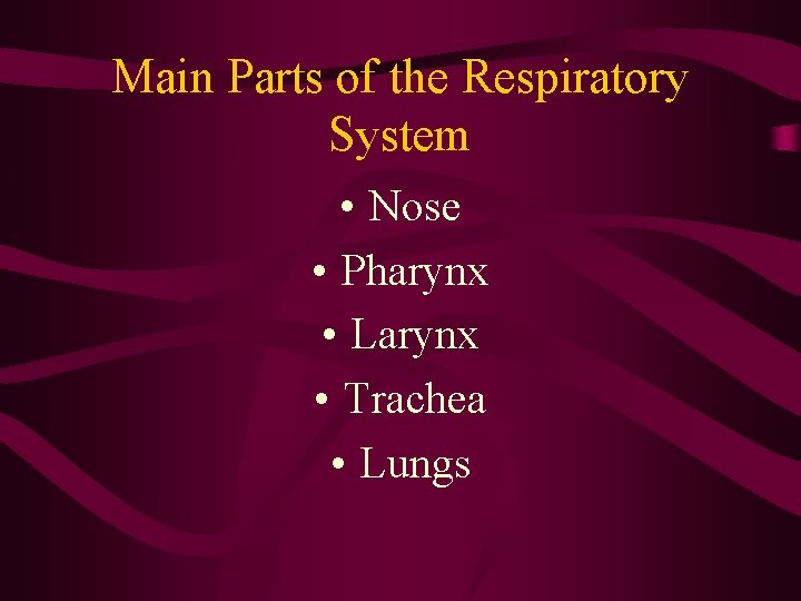 Main Parts of the Respiratory System • Nose • Pharynx • Larynx • Trachea