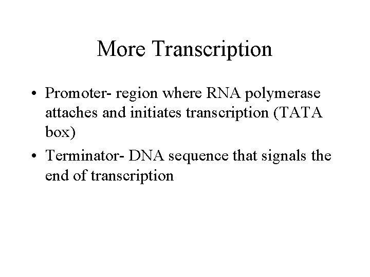 More Transcription • Promoter- region where RNA polymerase attaches and initiates transcription (TATA box) More Transcription • Promoter- region where RNA polymerase attaches and initiates transcription (TATA box)