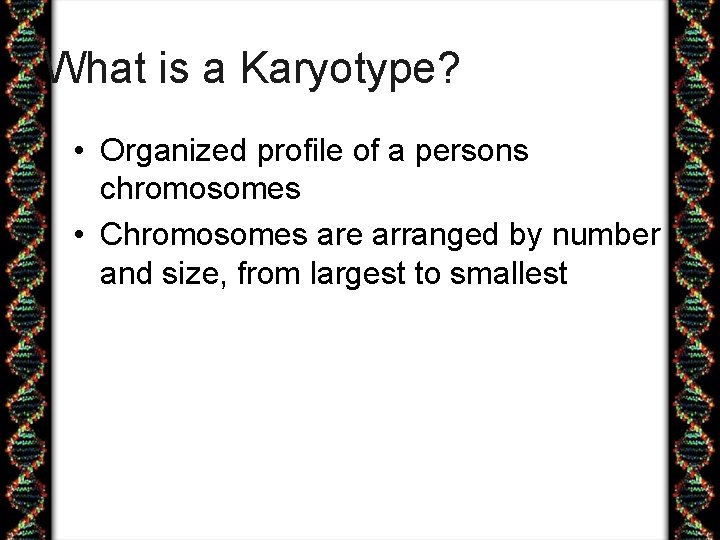 What is a Karyotype? • Organized profile of a persons chromosomes • Chromosomes are