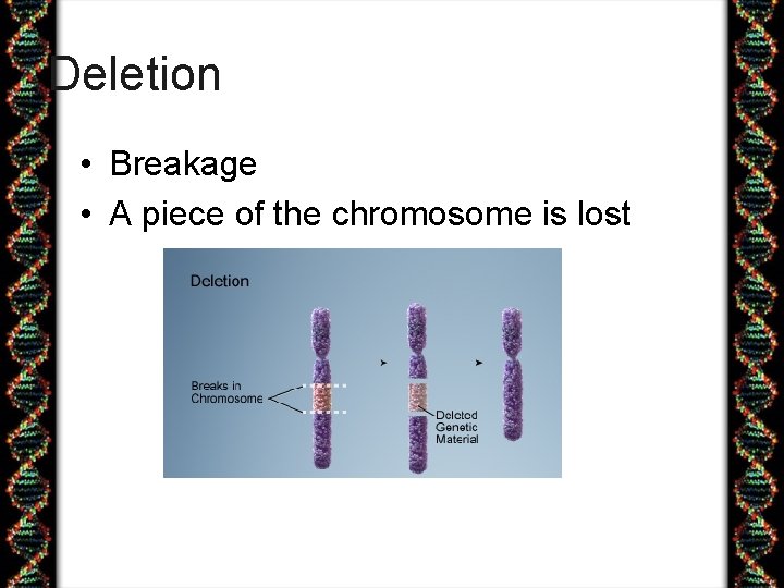 Deletion • Breakage • A piece of the chromosome is lost 