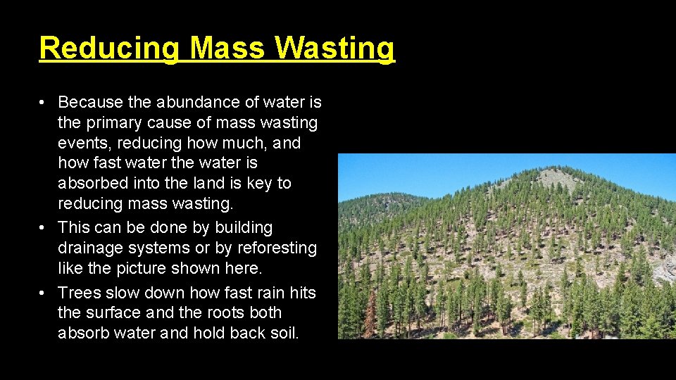 Reducing Mass Wasting • Because the abundance of water is the primary cause of