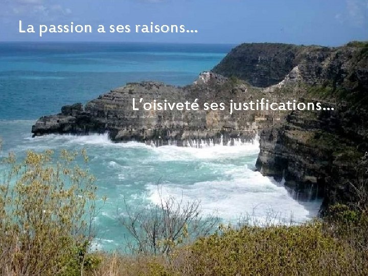 La passion a ses raisons… L’oisiveté ses justifications… 