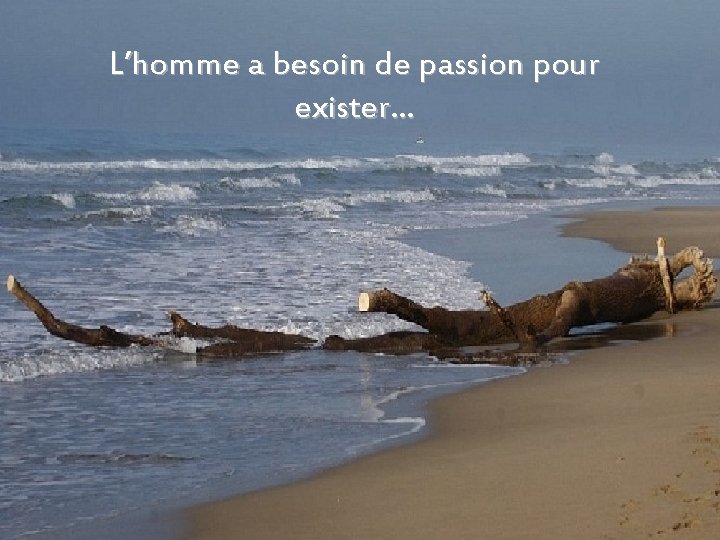 L’homme a besoin de passion pour exister… 