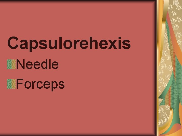 Capsulorehexis Needle Forceps 