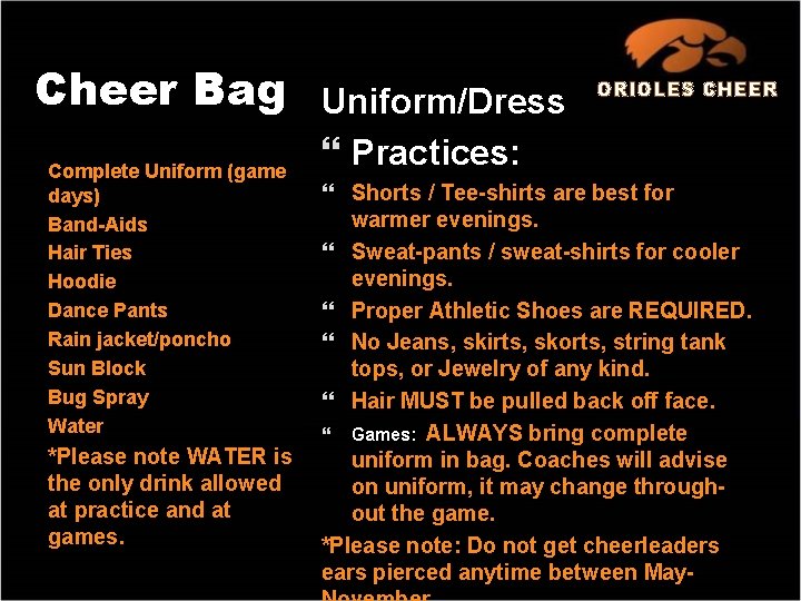 Cheer Bag Complete Uniform (game days) Band-Aids Hair Ties Hoodie Dance Pants Rain jacket/poncho