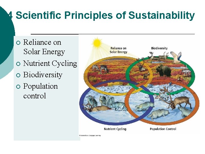 4 Scientific Principles of Sustainability ¡ ¡ Reliance on Solar Energy Nutrient Cycling Biodiversity
