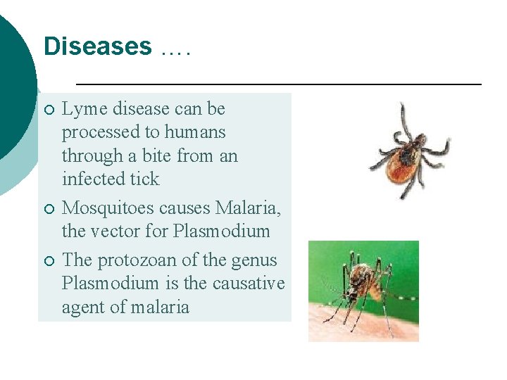 Diseases …. ¡ ¡ ¡ Lyme disease can be processed to humans through a