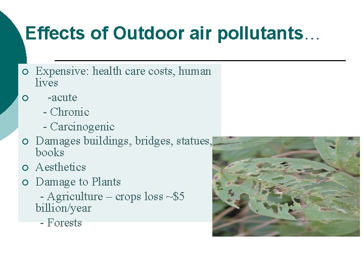 Effects of Outdoor air pollutants… ¡ ¡ ¡ Expensive: health care costs, human lives