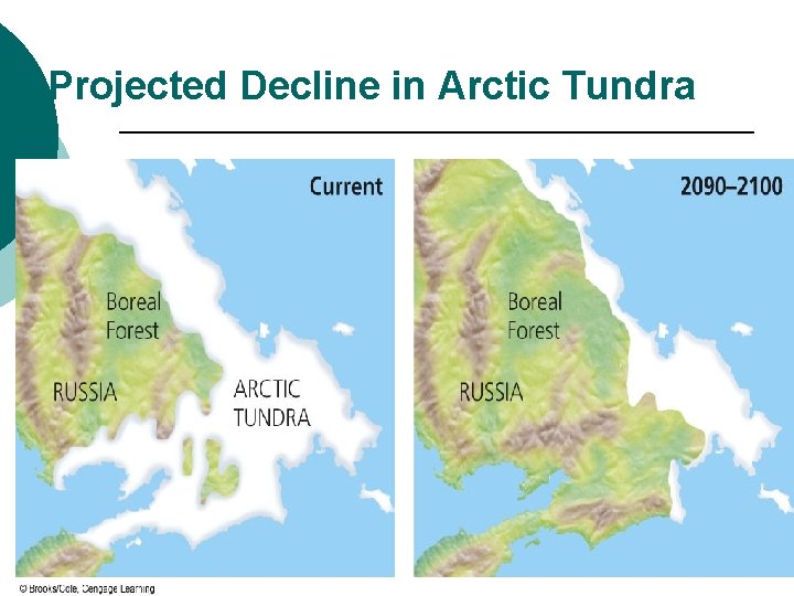 Projected Decline in Arctic Tundra 