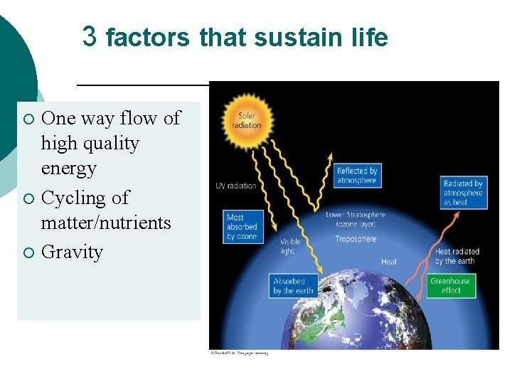 3 factors that sustain life One way flow of high quality energy ¡ Cycling