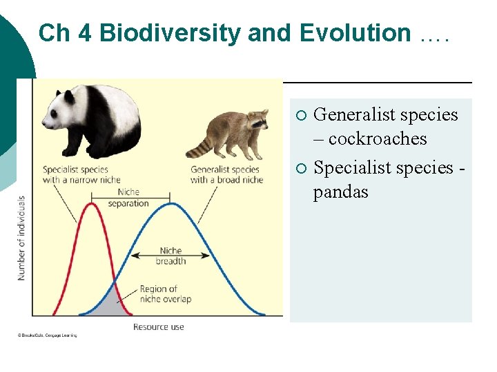 Ch 4 Biodiversity and Evolution …. Generalist species – cockroaches ¡ Specialist species pandas