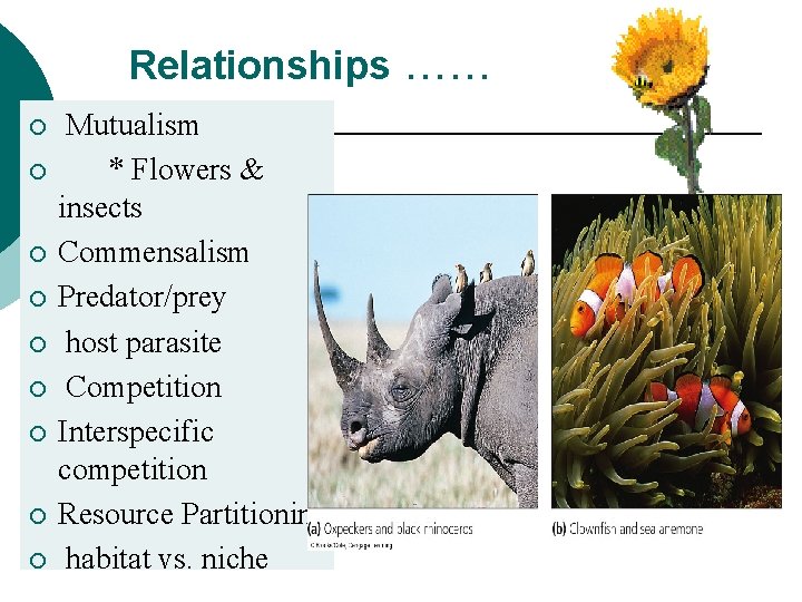 Relationships …… ¡ ¡ ¡ ¡ ¡ Mutualism * Flowers & insects Commensalism Predator/prey