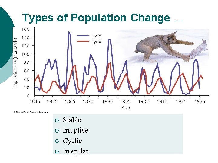 Types of Population Change … ¡ ¡ Stable Irruptive Cyclic Irregular 