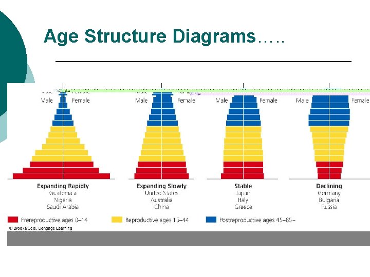 Age Structure Diagrams…. . 