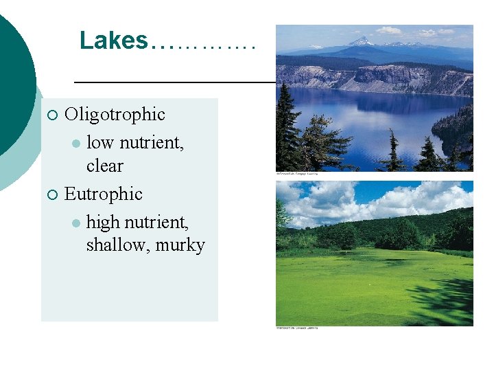 Lakes…………. Oligotrophic l low nutrient, clear ¡ Eutrophic l high nutrient, shallow, murky ¡