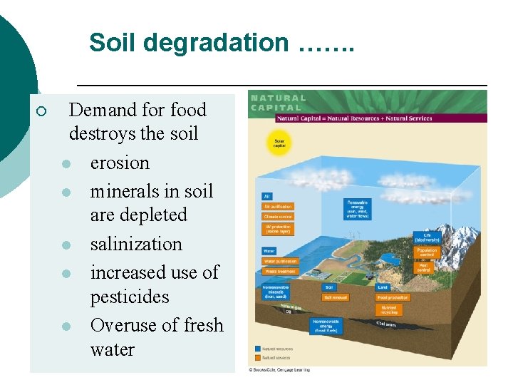 Soil degradation ……. ¡ Demand for food destroys the soil l erosion l minerals