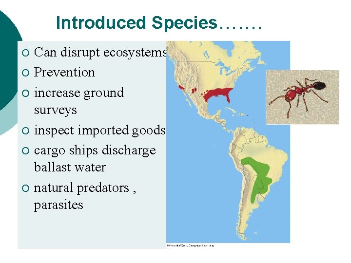 Introduced Species……. Can disrupt ecosystems ¡ Prevention ¡ increase ground surveys ¡ inspect imported