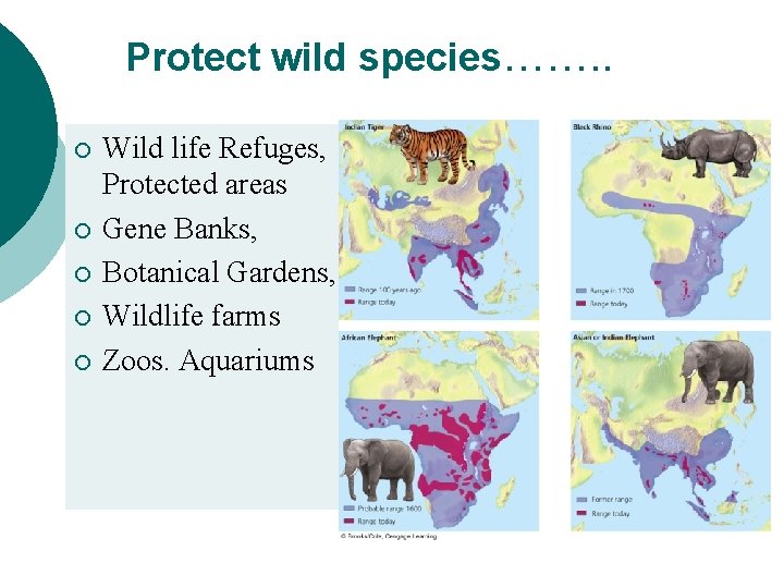 Protect wild species……. . ¡ ¡ ¡ Wild life Refuges, Protected areas Gene Banks,