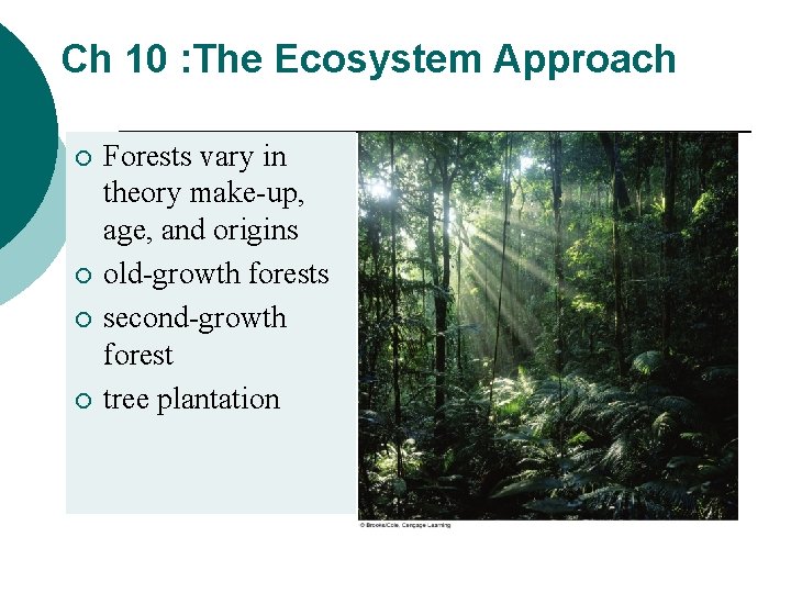 Ch 10 : The Ecosystem Approach ¡ ¡ Forests vary in theory make-up, age,