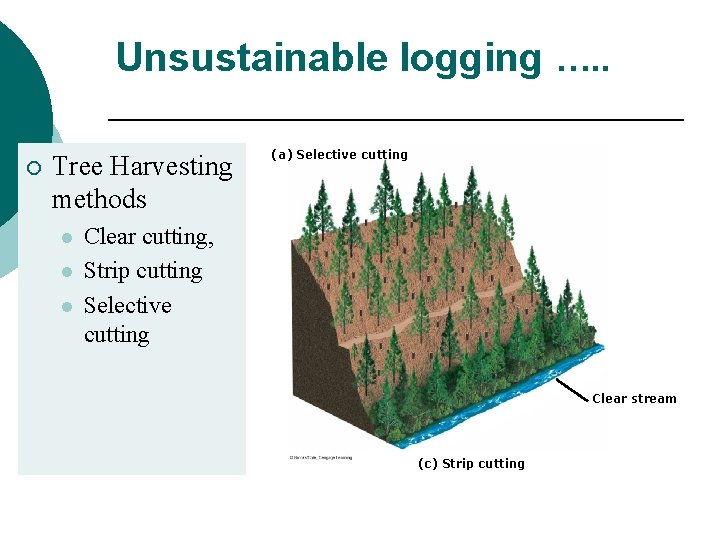 Unsustainable logging …. . ¡ Tree Harvesting methods l l l (a) Selective cutting