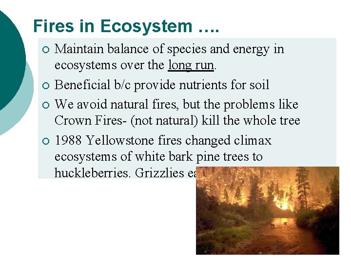 Fires in Ecosystem …. ¡ ¡ Maintain balance of species and energy in ecosystems