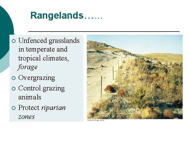 Rangelands…… ¡ ¡ Unfenced grasslands in temperate and tropical climates, forage Overgrazing Control grazing