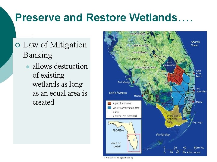 Preserve and Restore Wetlands…. ¡ Law of Mitigation Banking l allows destruction of existing