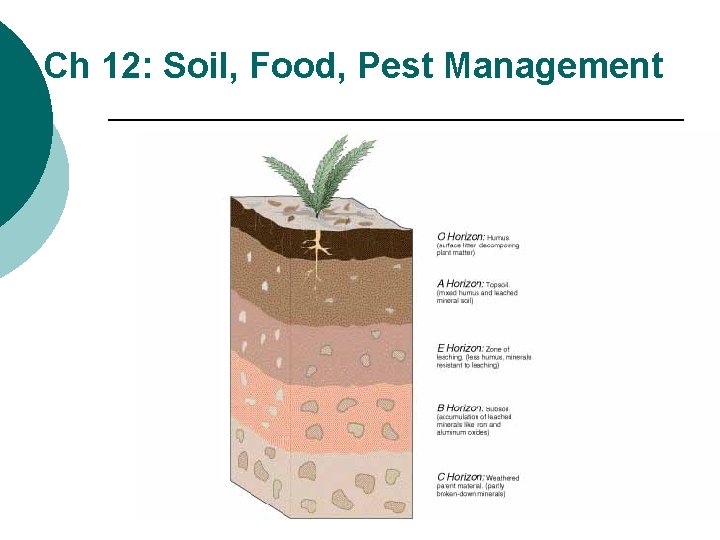 Ch 12: Soil, Food, Pest Management 