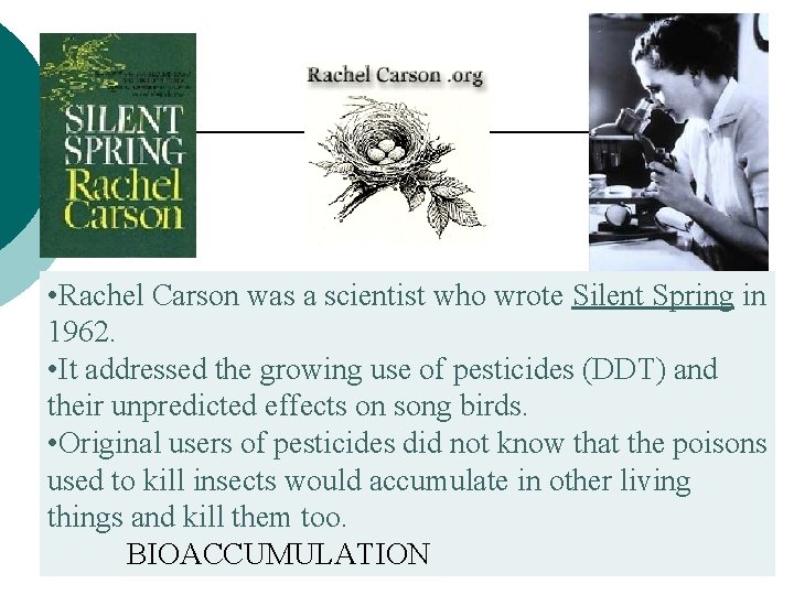  • Rachel Carson was a scientist who wrote Silent Spring in 1962. •