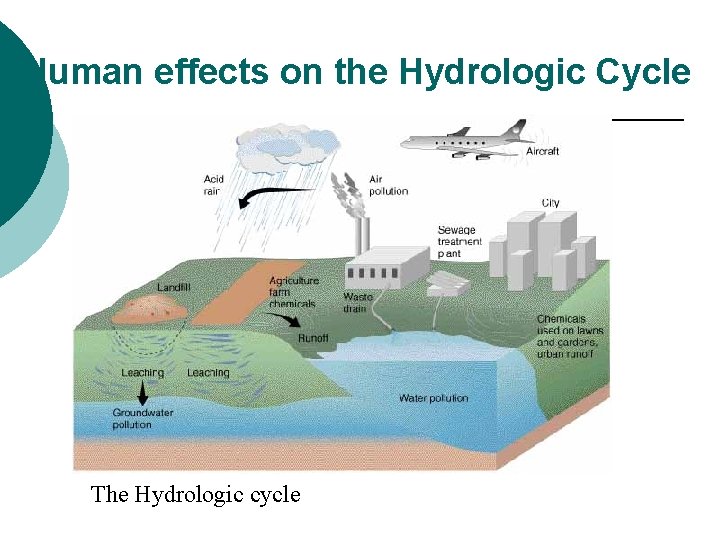 Human effects on the Hydrologic Cycle The Hydrologic cycle 