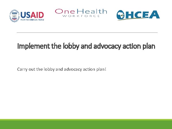 Implement the lobby and advocacy action plan Carry out the lobby and advocacy action
