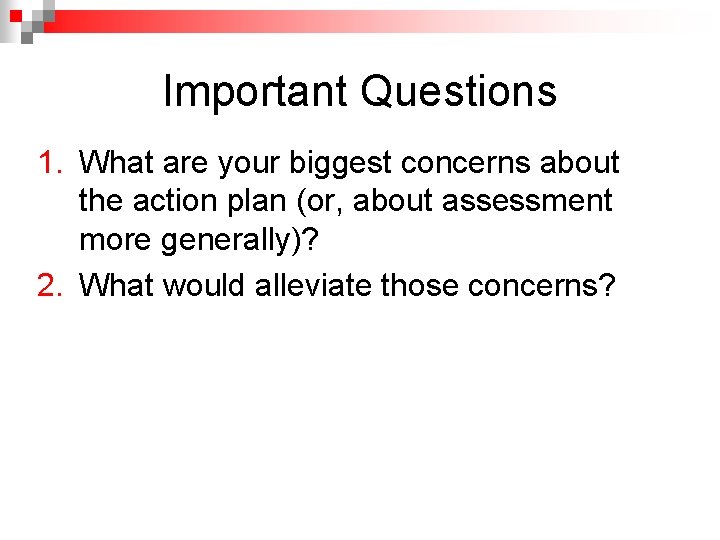 Important Questions 1. What are your biggest concerns about the action plan (or, about