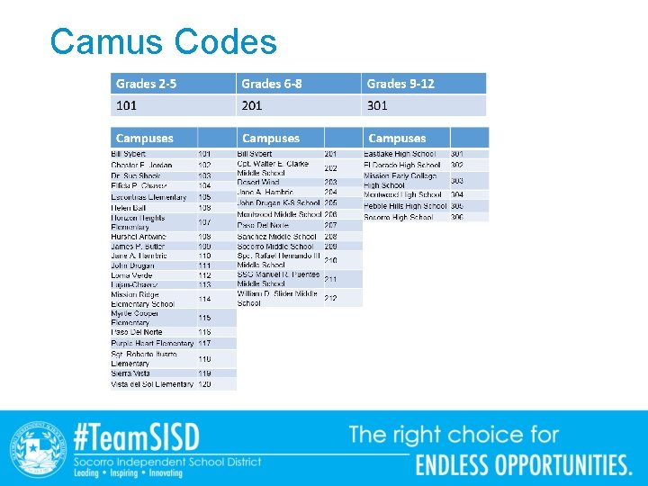 Camus Codes 