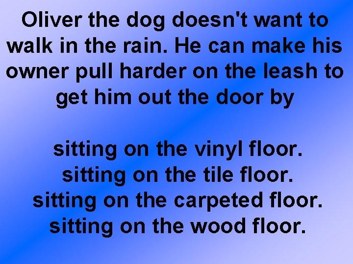 Oliver the dog doesn't want to walk in the rain. He can make his