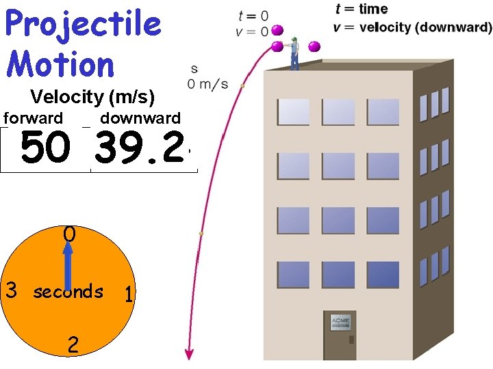 Projectile Motion Velocity (m/s) forward downward 50 19. 6 39. 2 29. 4 9.