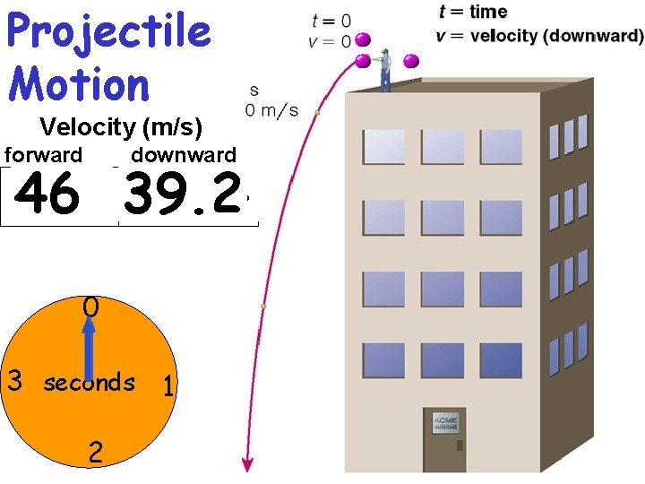 Projectile Motion Velocity (m/s) forward downward 46 47 48 49 50 19. 6 39.