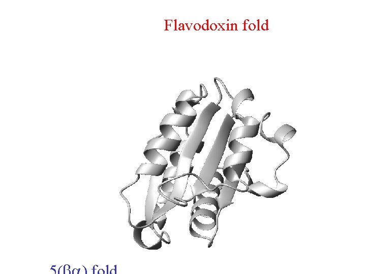 Flavodoxin fold 